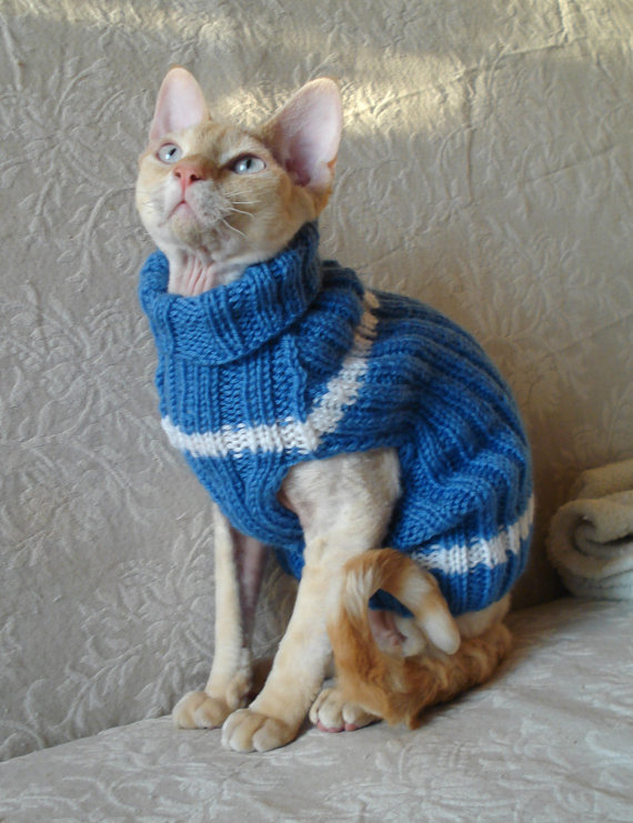 Tricot Animaux Chat Tout Pour Le Bebe